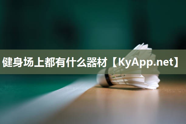 健身场上都有什么器材