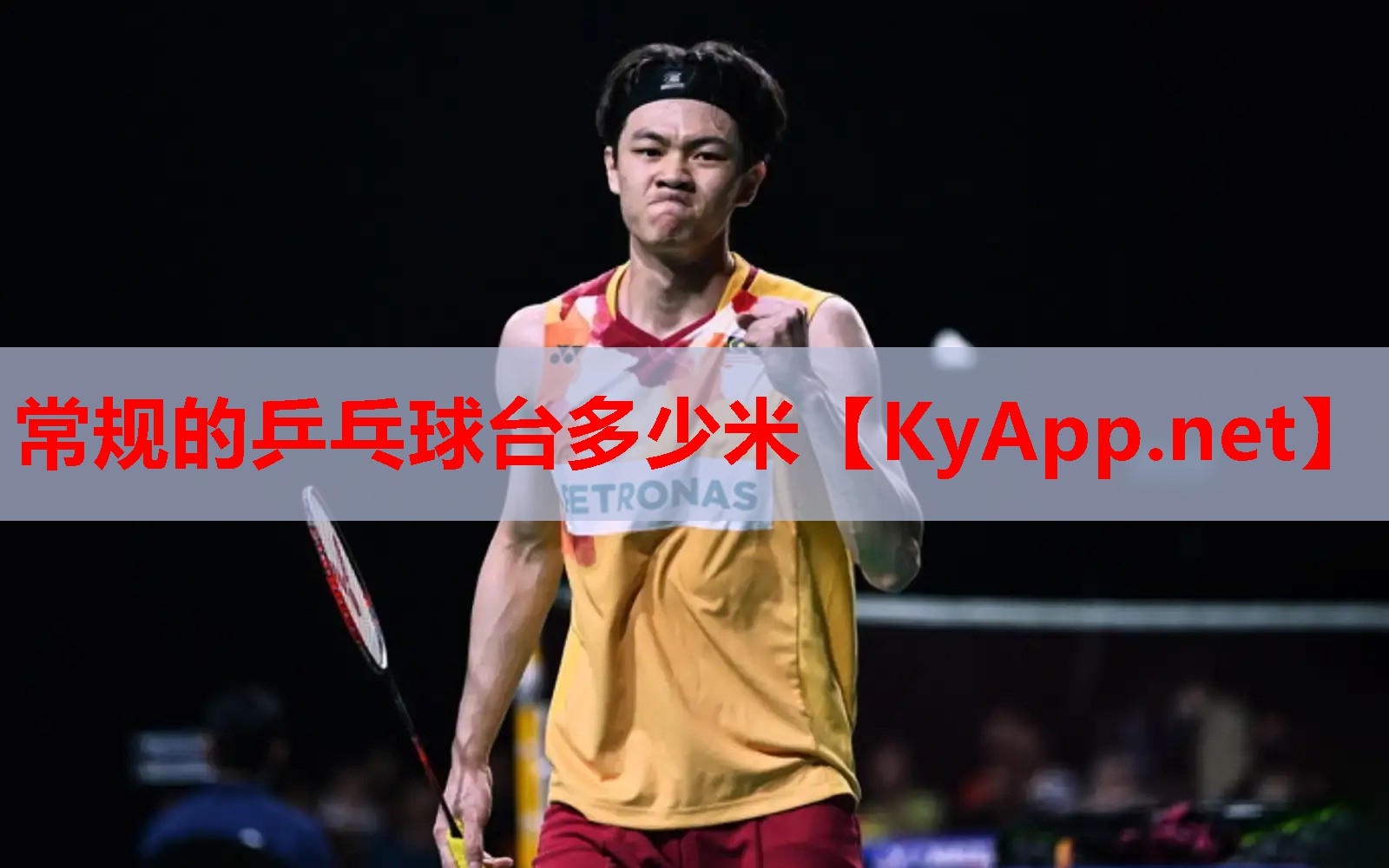 常规的乒乓球台多少米