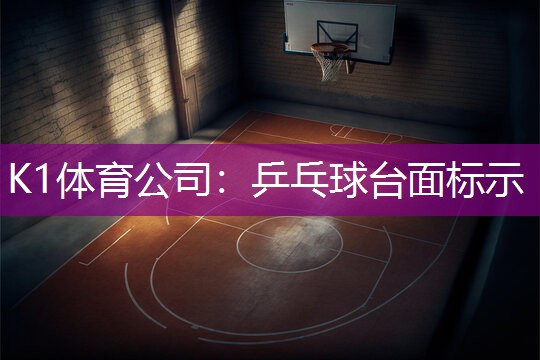 乒乓球台面标示
