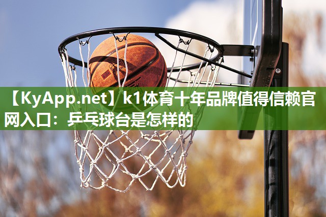 乒乓球台是怎样的