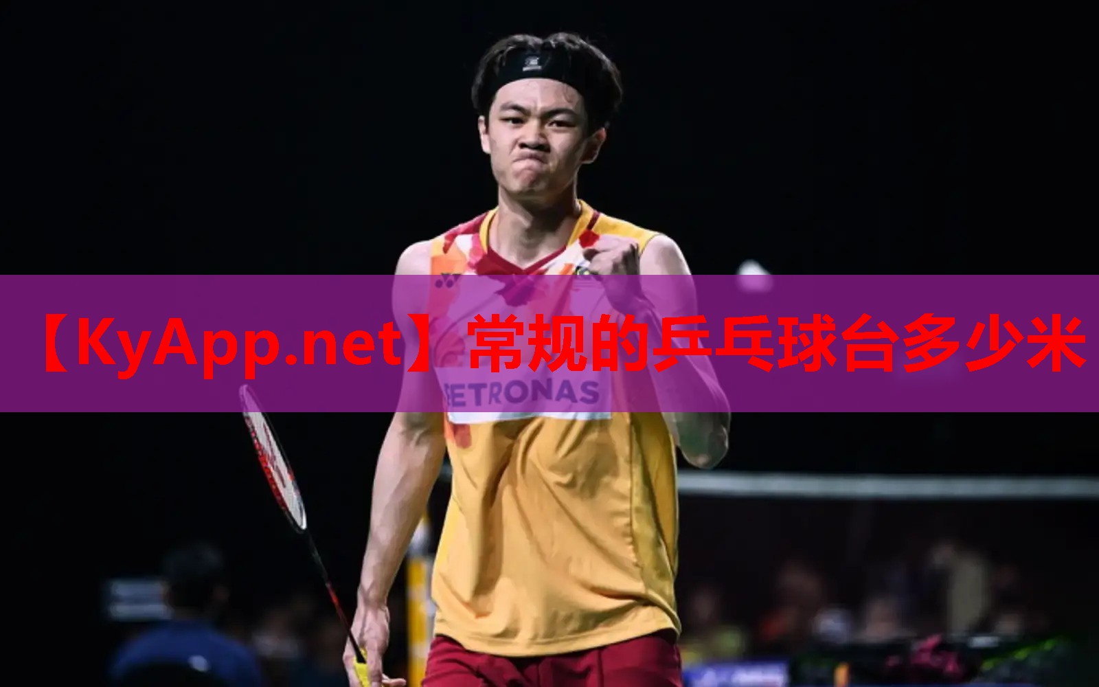常规的乒乓球台多少米